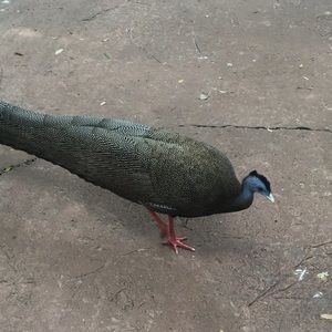 Meet your Posher, Addie